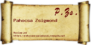 Pahocsa Zsigmond névjegykártya